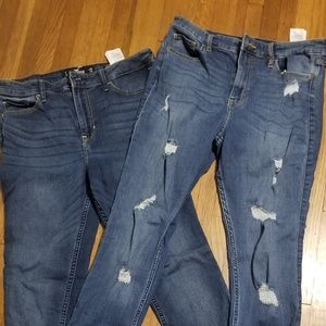 Hollister Jean's